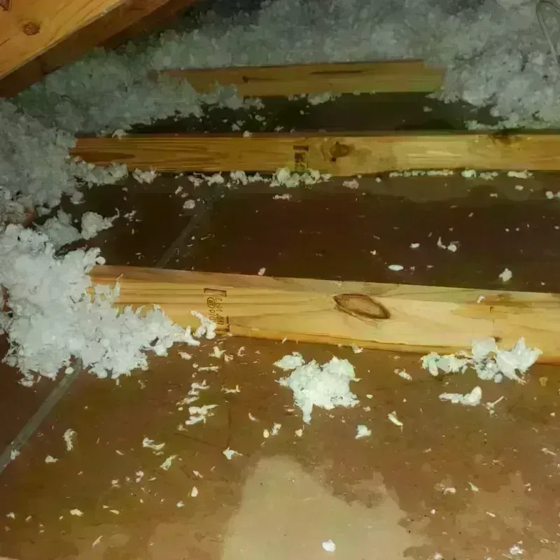 Attic Water Damage in Searcy County, AR